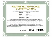 registration-certificate.jpg