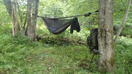 Hammock setup.JPG