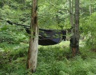 Hammock setup 2.JPG