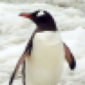 PedroThePenguin