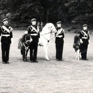 Pegasus I & Bruneval I Army Mascots (Att Airborne Assault Duxford).jpg