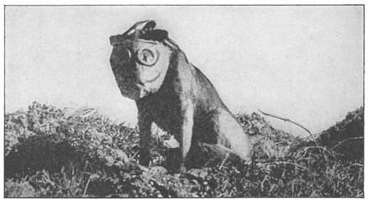 Dog_with_mask_WWI.jpg