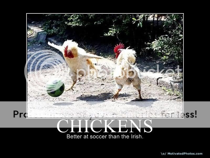 633719418346043060-chickens.jpg